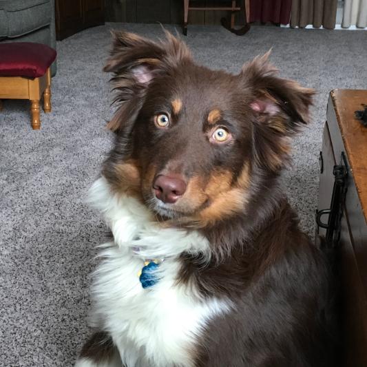 My buddy Knute
