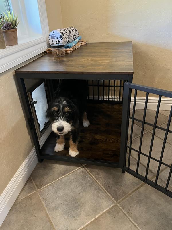 Perfect for placing against doggie door