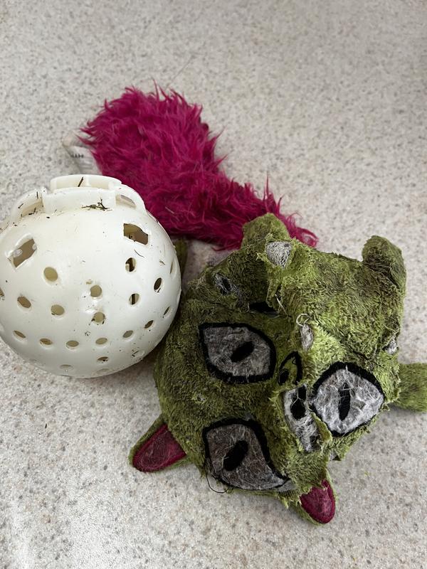 HYPER PET Monster Pal Interactive Plush Dog Toy