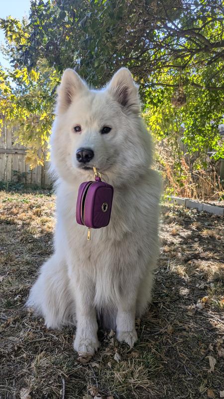 Boreal posing with our BFF Mini