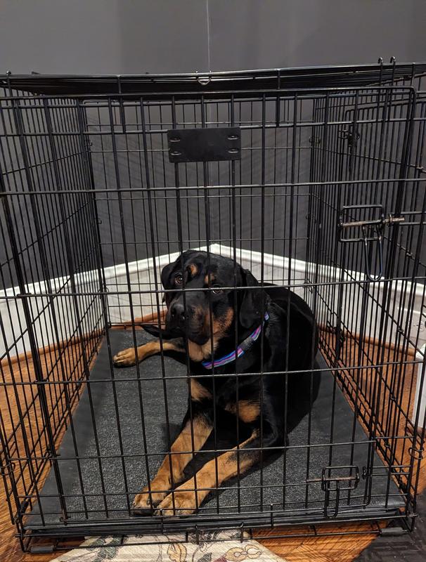 View of MIDWEST QuietTime Cushioned Antimicrobial Dog Crate Mat, Black, Large ...