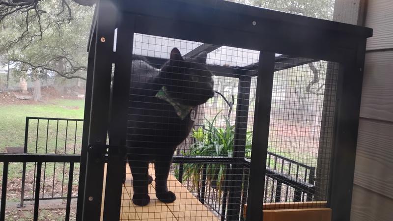 Hal is outside listening to rain on his catio