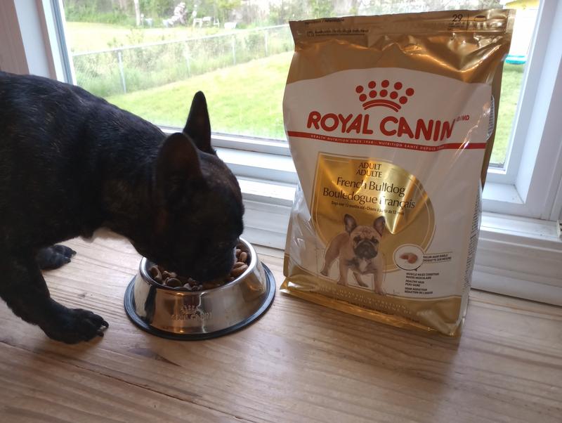King Louie loves Royal Canin!
