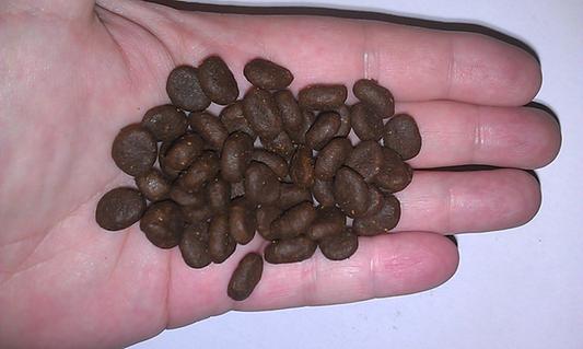 Kibble Size