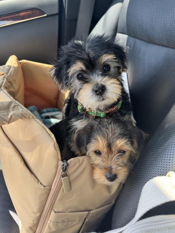 First trip home