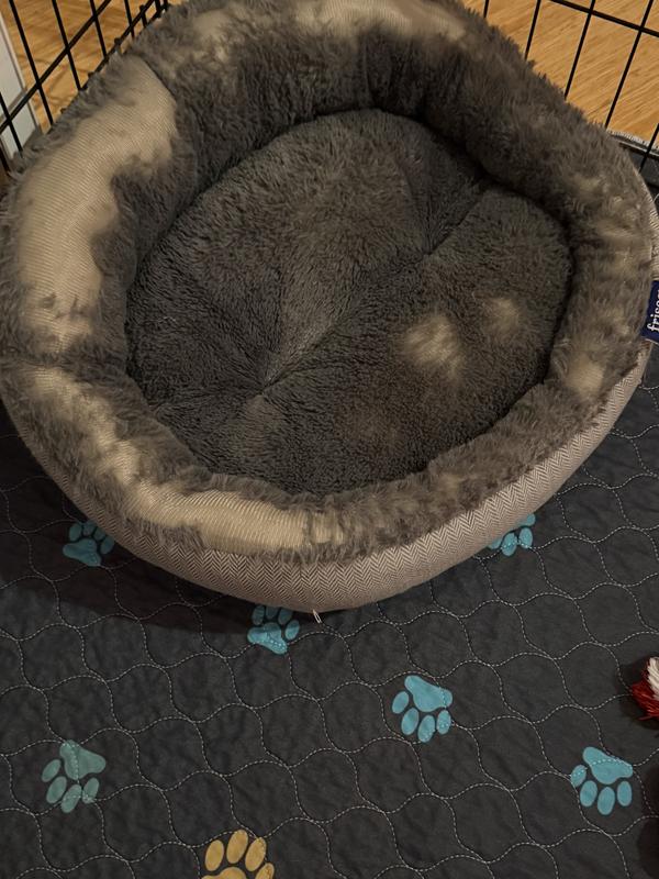 Cheap disintegrating bed!