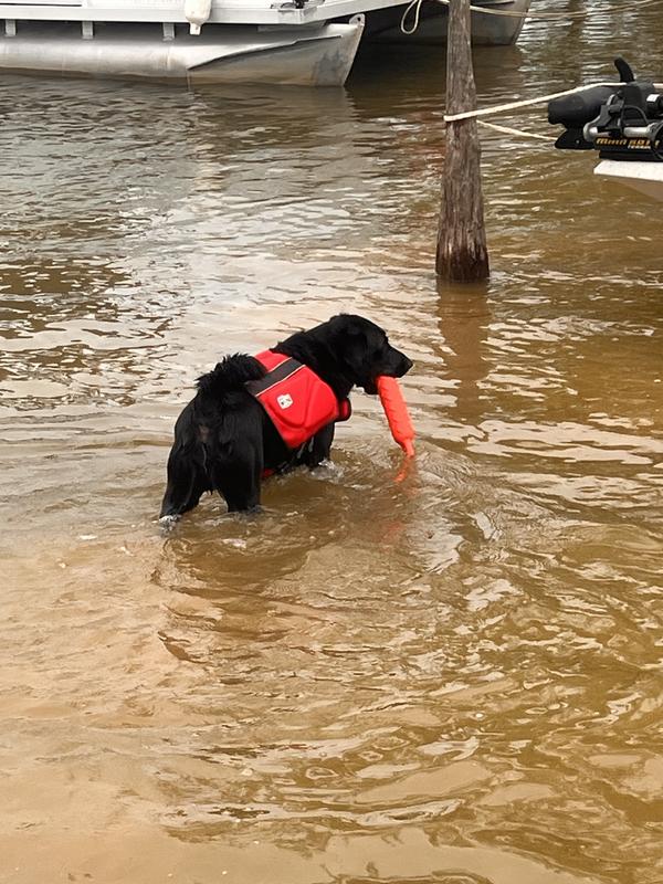 Parks living his best life