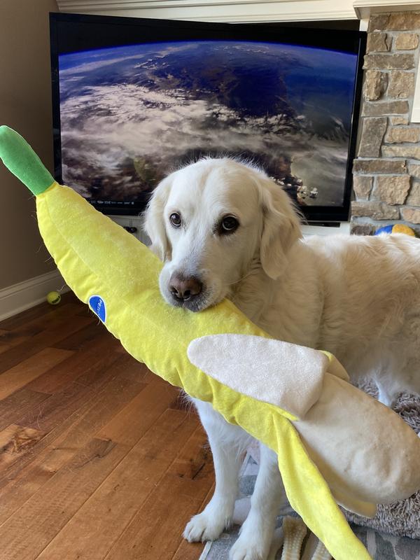 Big enough?!