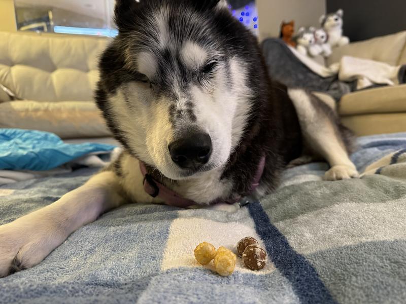 Maya isn’t interested