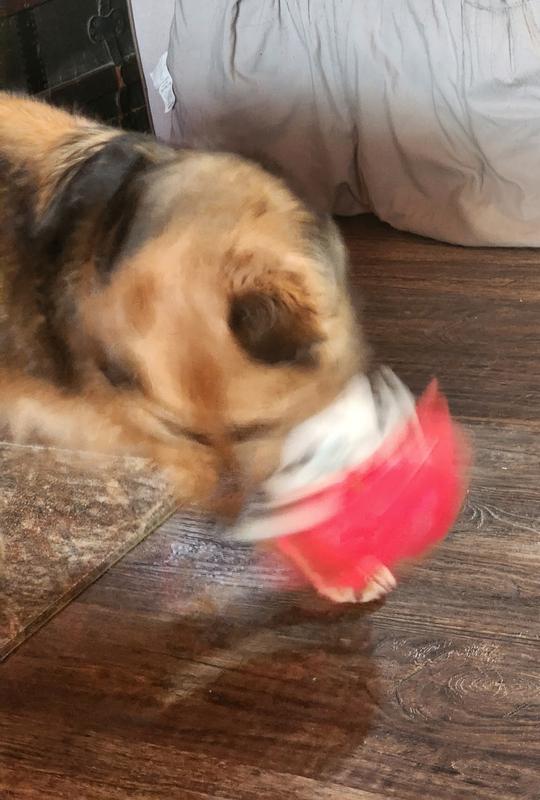 Playing rough with her new toy