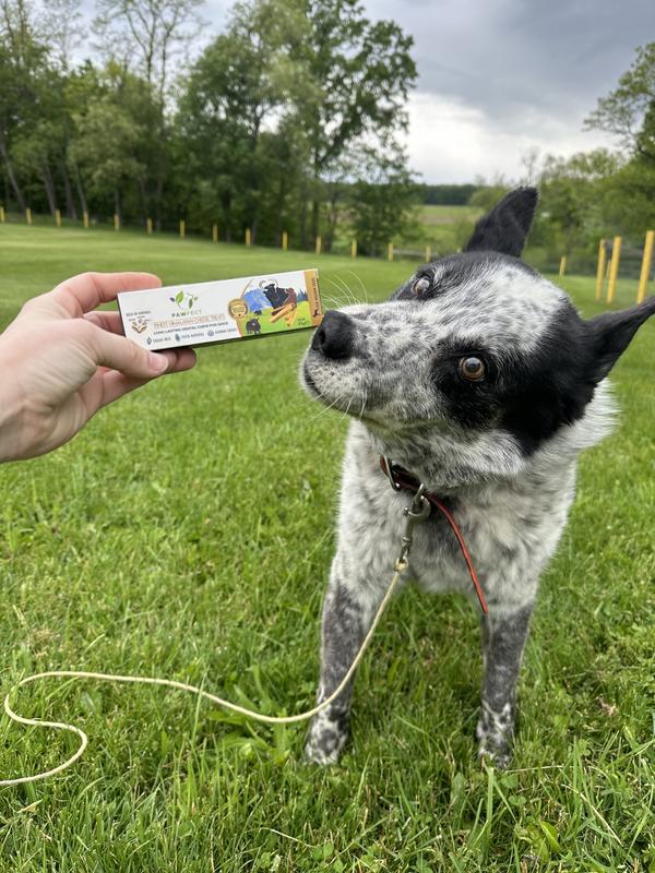 “this smells yummy”