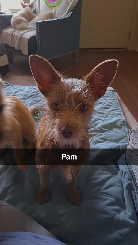 Pam breath worked in obe tine use plus all 4 babies as well
