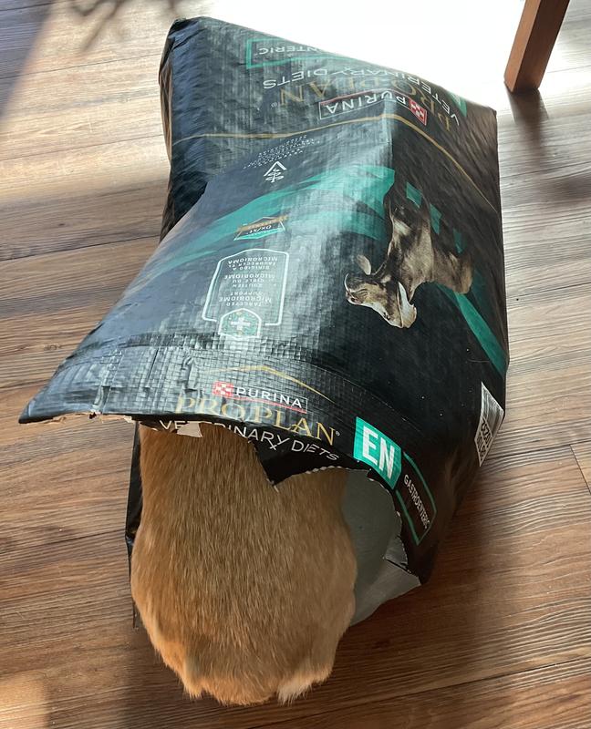 Can you tell how much she loves this food