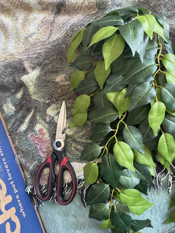 Size compared to my scissors