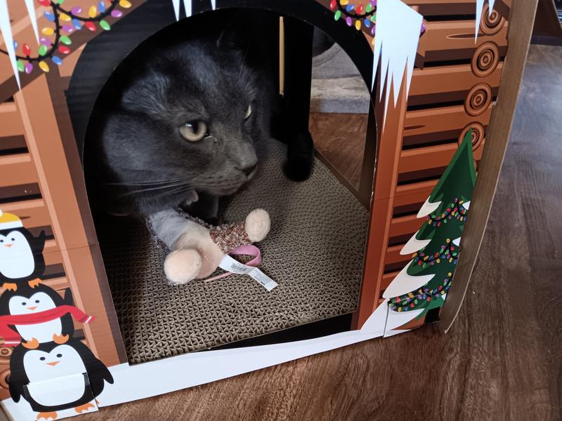 Finally, my little home is done! Good job, Mom!