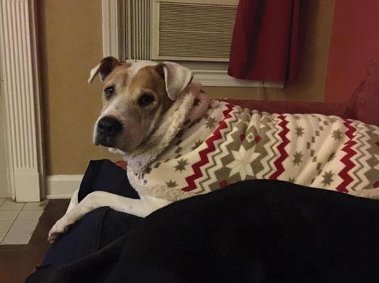 My sweet 12 year old baby