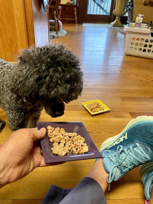 Dog #3 unsure but will eat them crushed as a topper.