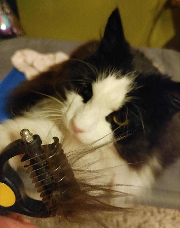 PET REPUBLIQUE Dematting Rake