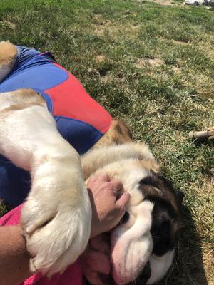 This guy is 178 lbs and is wearing a 2xl !