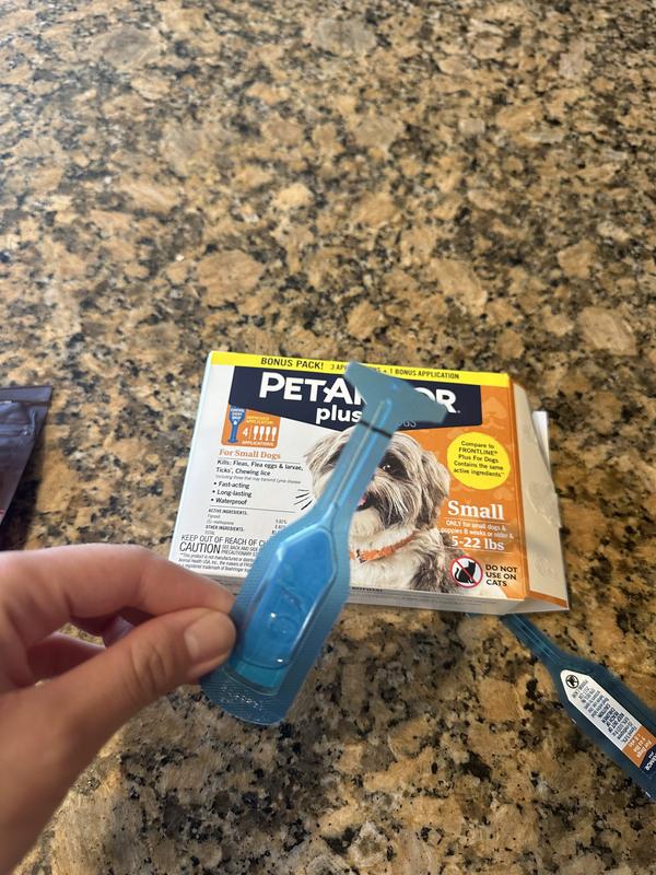 Stunning Effective Inexpensive Flea Prevention image