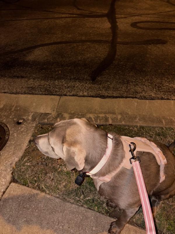 tried to catch how well it refects