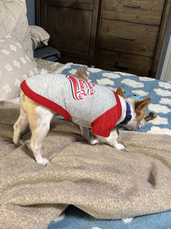 Obi-Wan is rocking it!