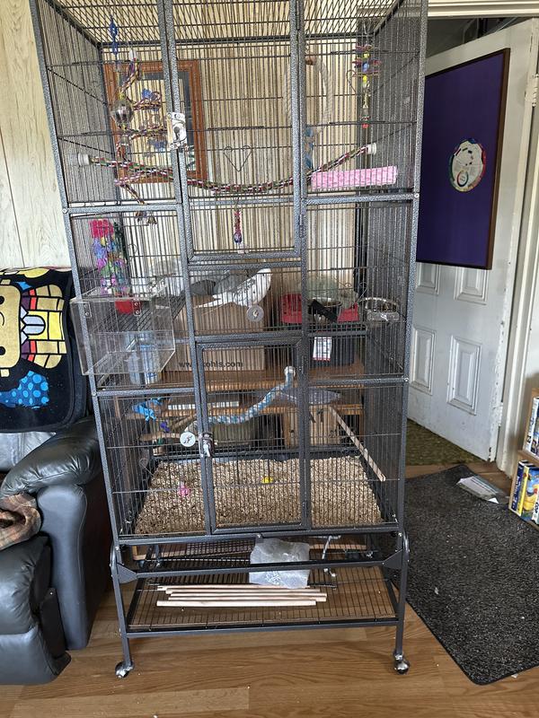 Loki loves his new home!