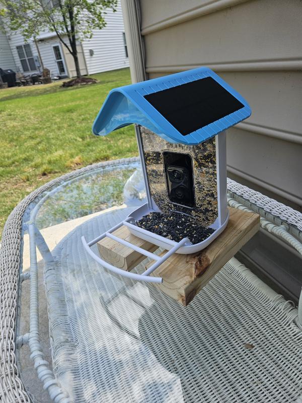 Feeder Mounted on Blocks