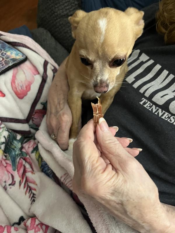 Lizzie and Gracie enjoying their chicken jerky!