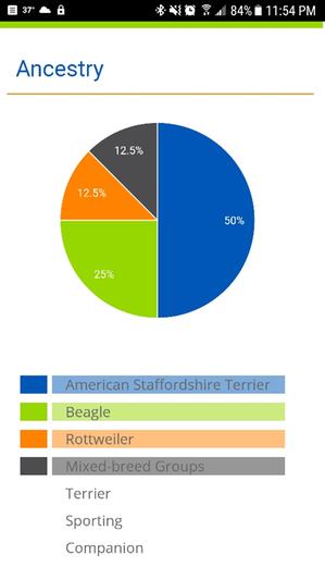 Gumball's breed breakdown