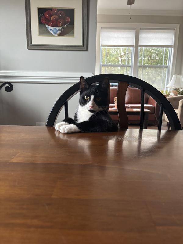 A very discerning palette. :)