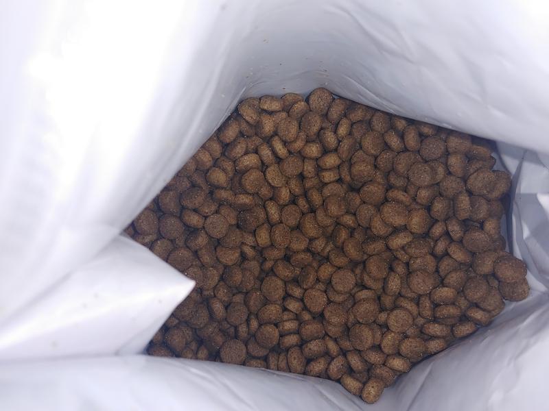 What the product looks like in the bag.