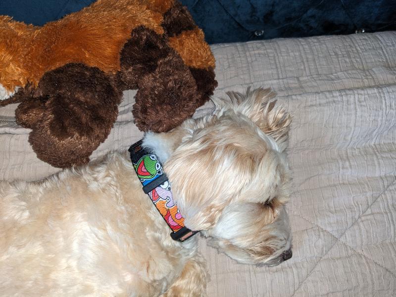 She is part Muppet after all