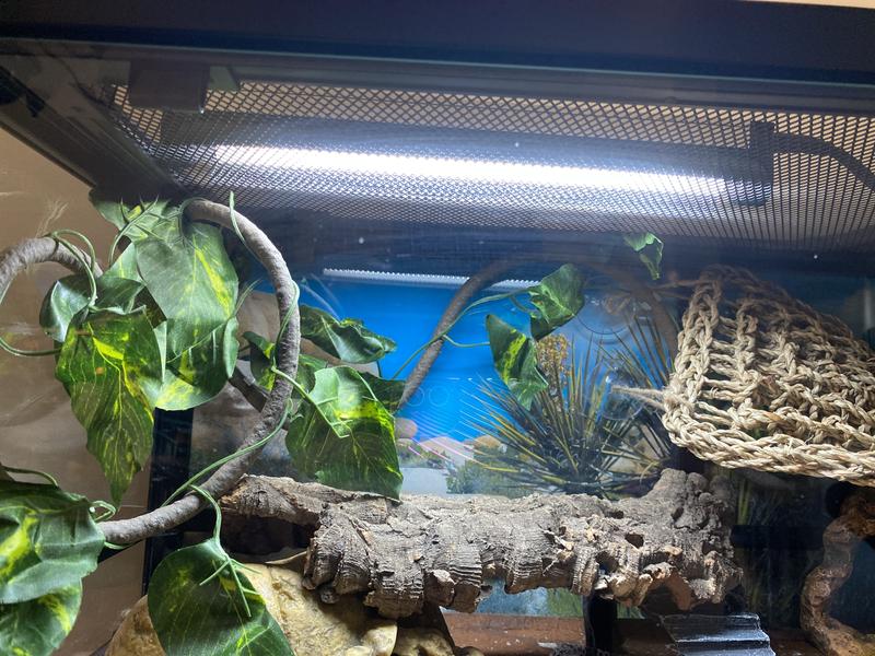 Bulb is flashing like a strobe light