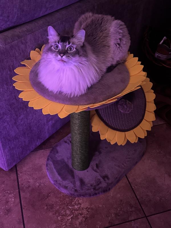 Mystic living her best life!