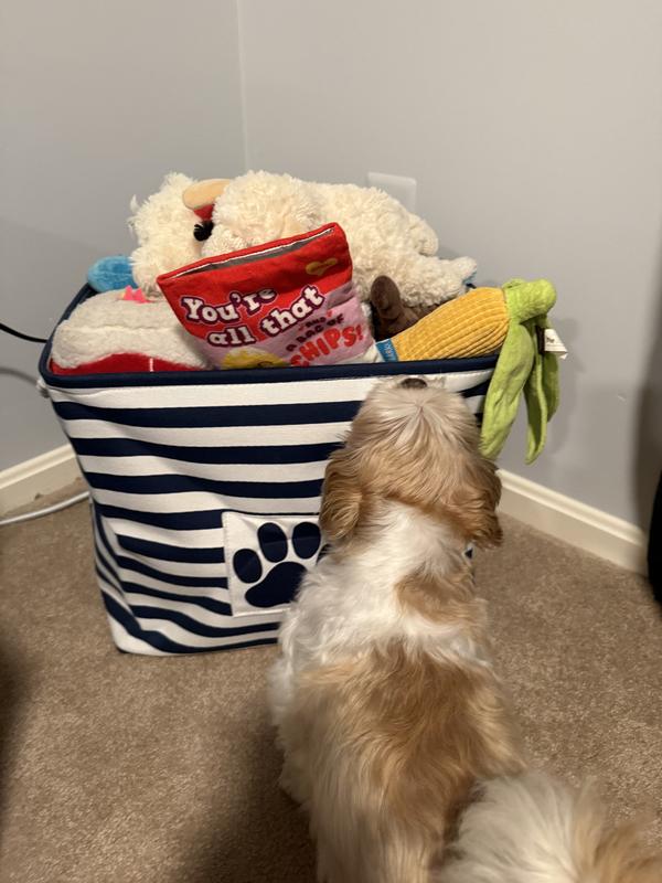 Dog toy basket chewy best sale