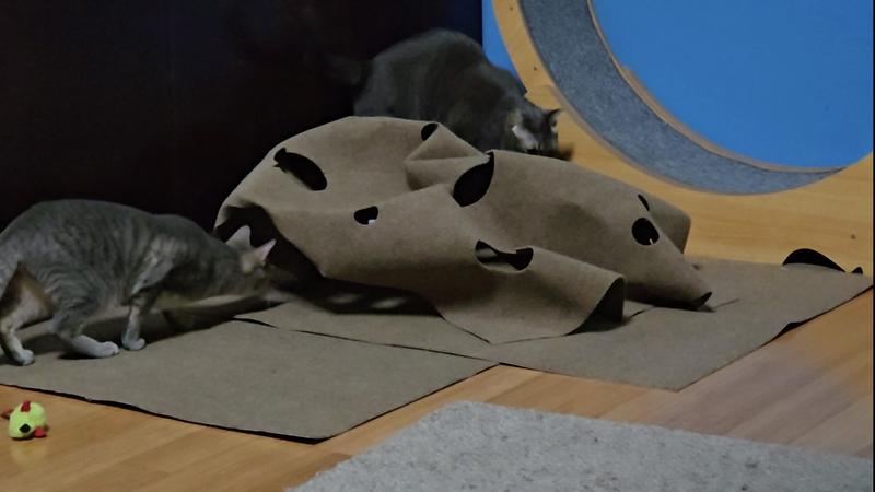 SNUGGLYCAT Ripple Rug Cat Activity Play Mat, Oatmeal White - Chewy.com