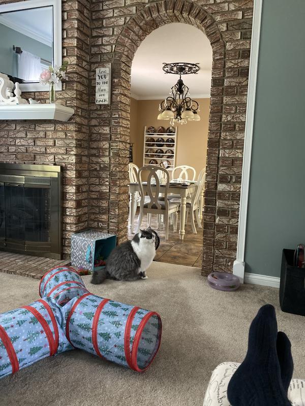 Fatty boy