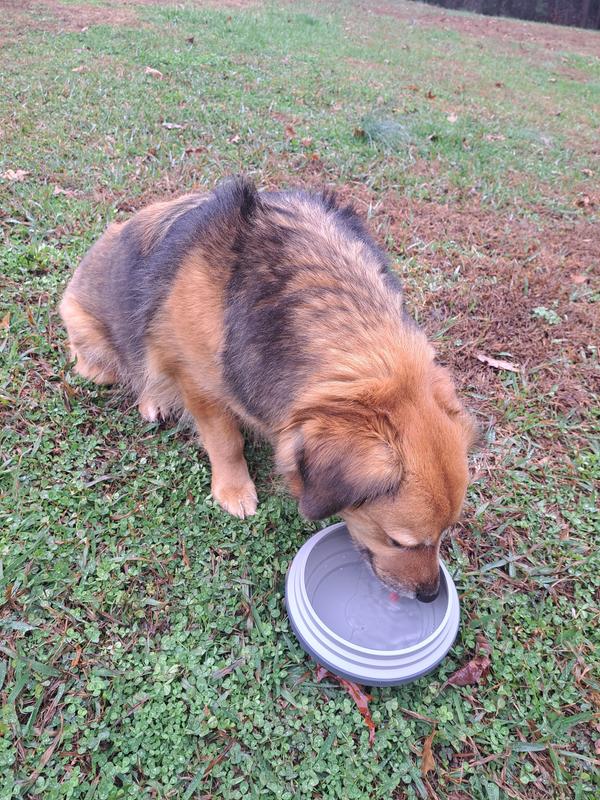 My girl gets a nice drink