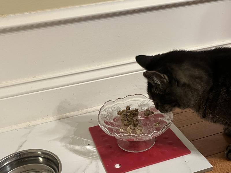 The Princess loves this Wellness flavor!