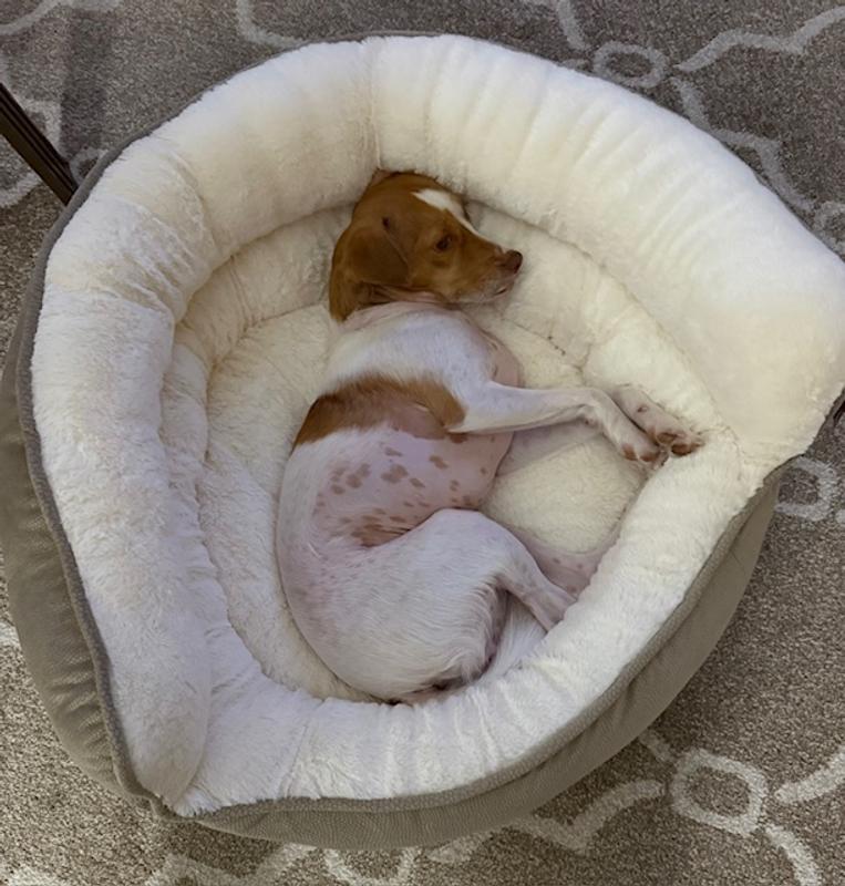 Her Favorite Bed!
