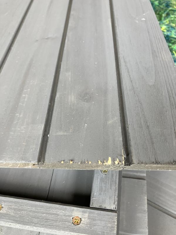 Chipped upon arrival