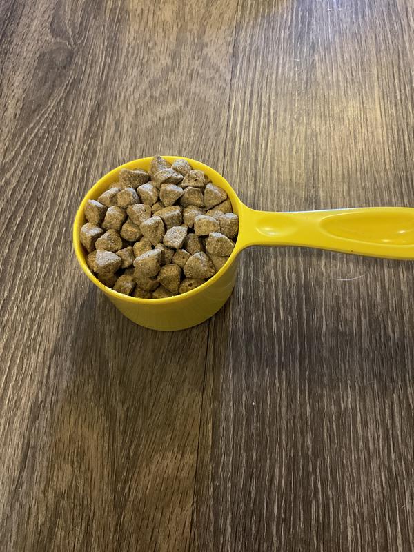 Sadie’s 1-cup scoop for reference (Chicken & Oatmeal)