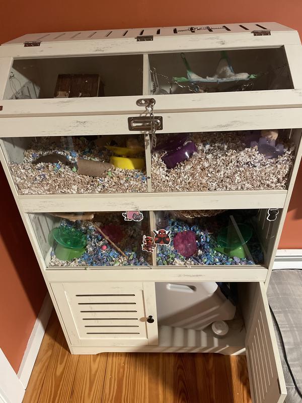 Picture of completed unit with cage furniture and mice