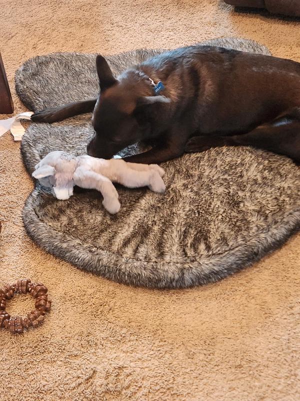 Right after receiving the toy.