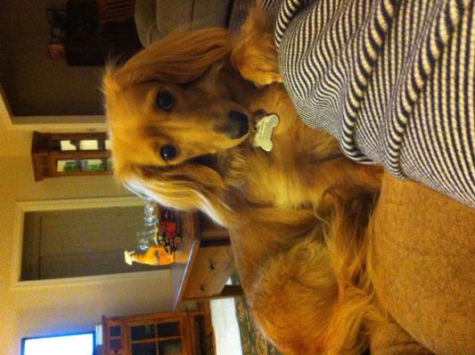 This is my baby Sandy