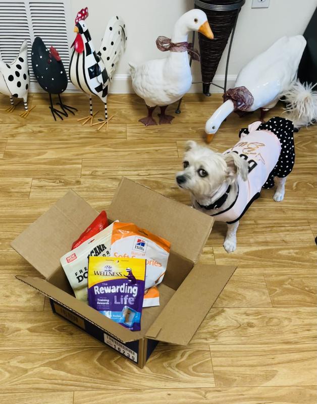 Yeah!  Treats are here!!!!