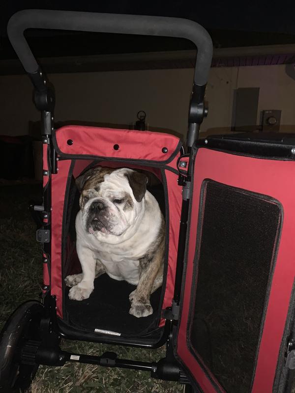 PET GEAR Excursion NoZip Dog & Cat Stroller, Mountain Lilac