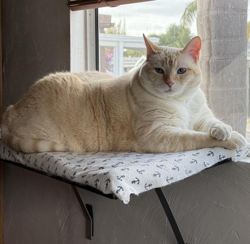 Princess Chloe upon her empire