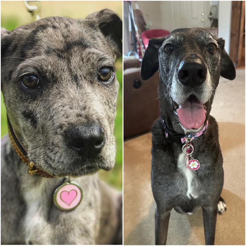 Peppa Peach at 12 weeks and 9 years
